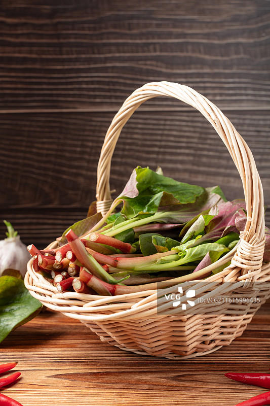 新鲜鱼腥草图片素材