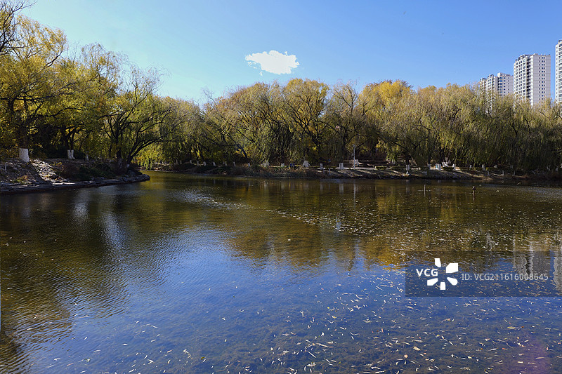 满都海公园2图片素材