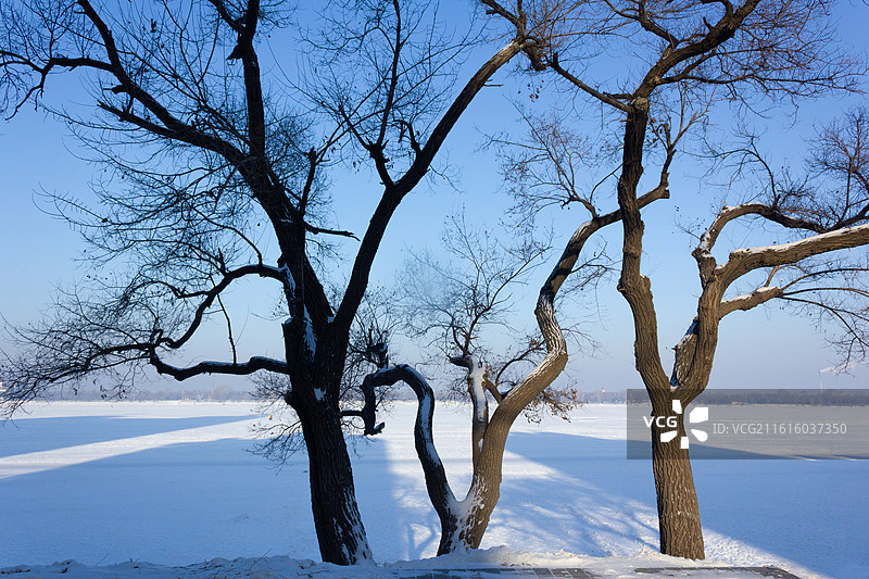 中国黑龙江哈尔滨斯大林公园松花江冬天冰雪风景图片素材