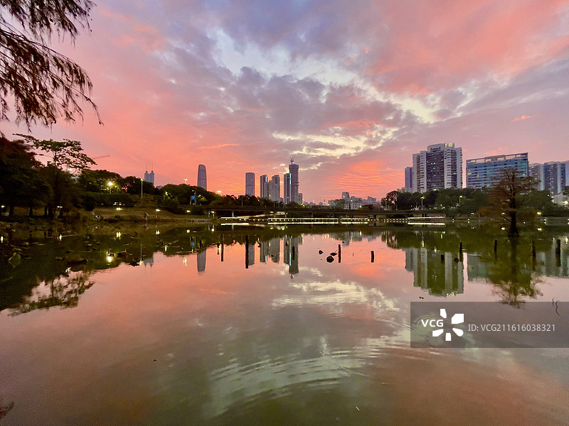 深圳洪湖公园风光图片素材