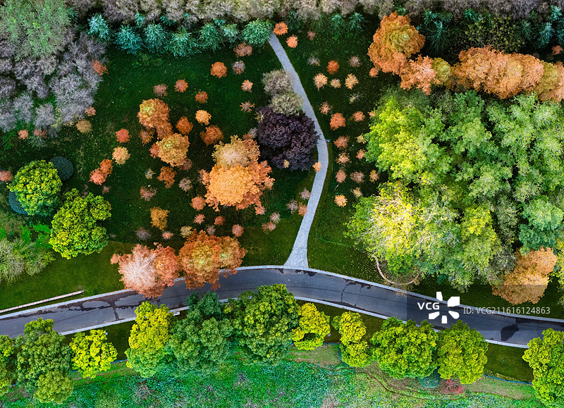 江苏淮安冬日公园的美丽色彩图片素材