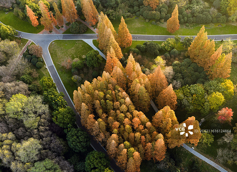 江苏淮安冬日公园的美丽色彩图片素材