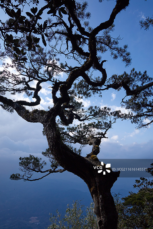 海南自贸港五指山旅游户外徒步风光图片素材