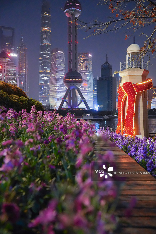 上海北外滩植物紫罗兰花海陆家嘴地标建筑图片素材