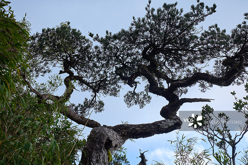 海南自贸港五指山旅游户外徒步风光图片素材