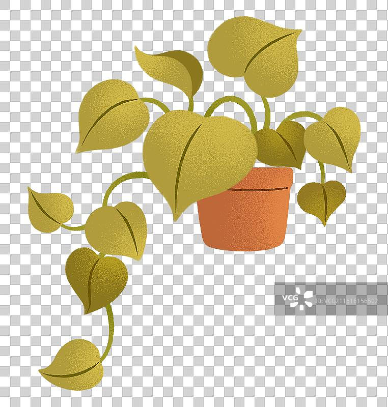 绿萝盆栽卡通插画图片素材