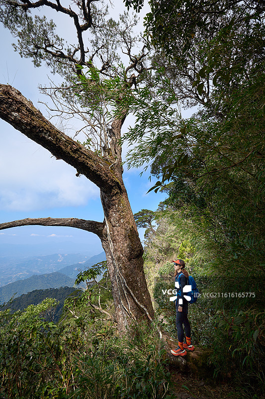 海南自贸港五指山旅游户外徒步风光图片素材