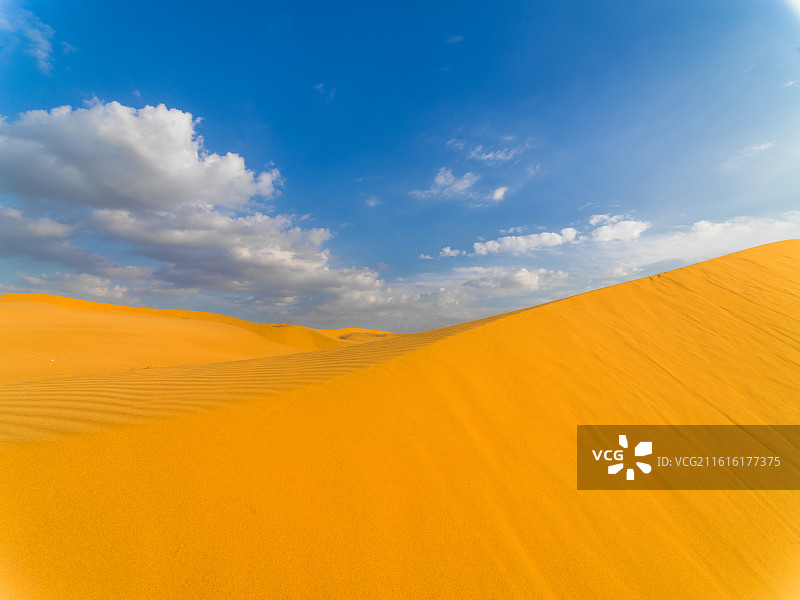内蒙古阿拉善沙漠照片，广袤无垠的金色沙丘线条流畅且富有韵律，在阳光的照耀下熠熠生辉，尽显雄浑壮阔。图片素材