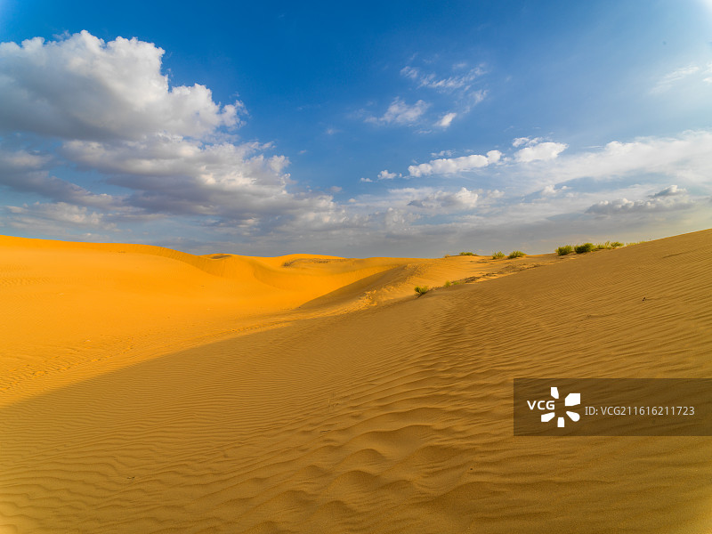 内蒙古阿拉善沙漠照片，广袤无垠的金色沙丘线条流畅且富有韵律，在阳光的照耀下熠熠生辉，尽显雄浑壮阔。图片素材