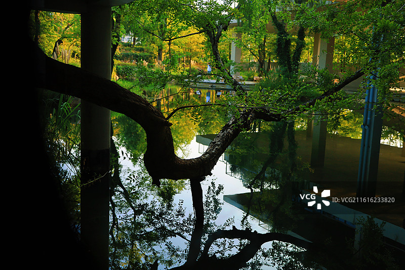 苏州洄归生态美学空间艺术建筑文艺图片素材