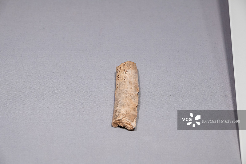 天津博物馆 商武丁 刻辞卜骨 王襄旧藏 甲骨文图片素材