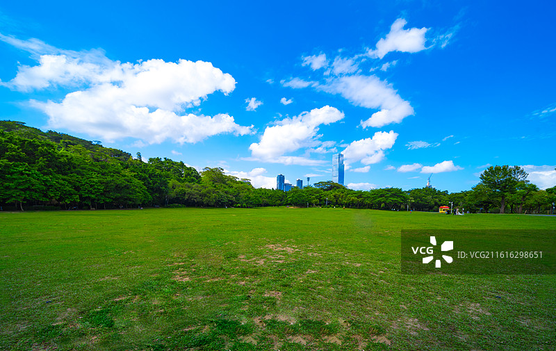 深圳莲花山公园草坪与城市天际线图片素材