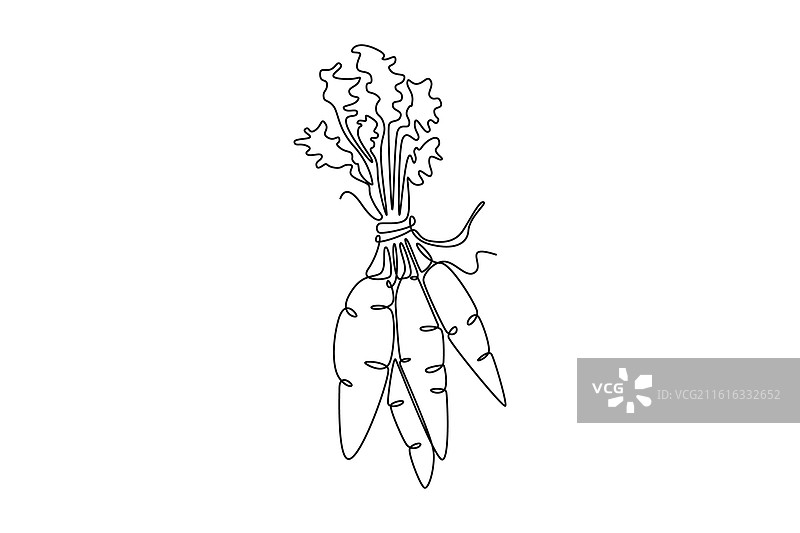 一笔画的整束图片素材