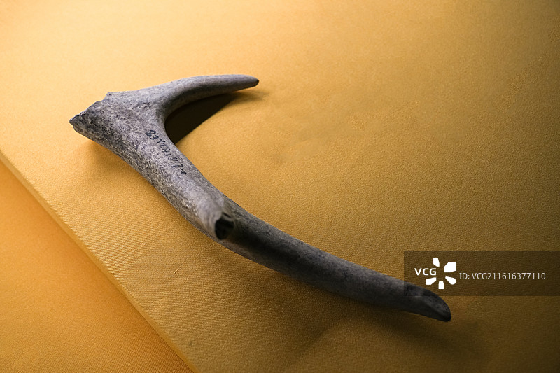 鹿角嘴锄 岳石文化 山东文登石羊遗址出土 山东博物馆“华夏东方-夏商周时期的东夷文化”特展图片素材