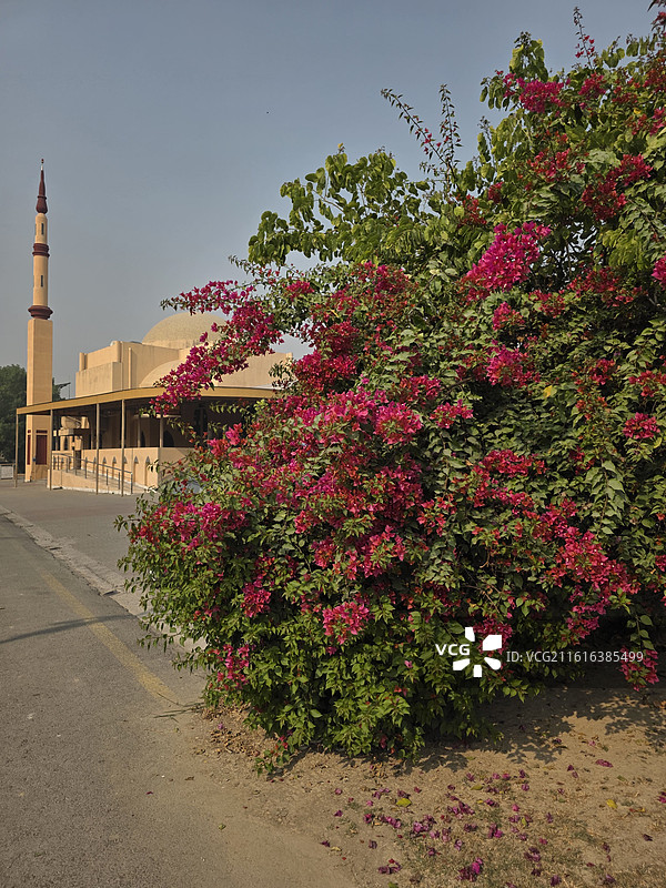 巴基斯坦城市风光拉合尔城市风光图片素材