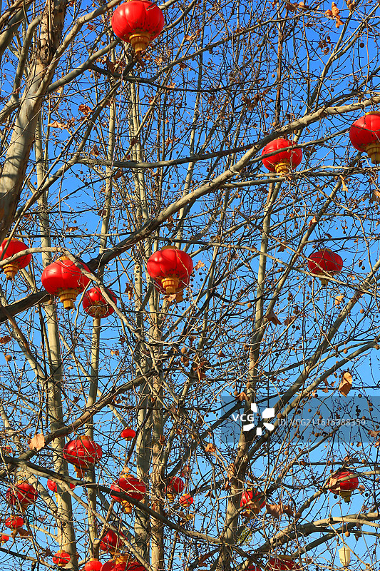 雄安新区雄县美景抓拍图片素材