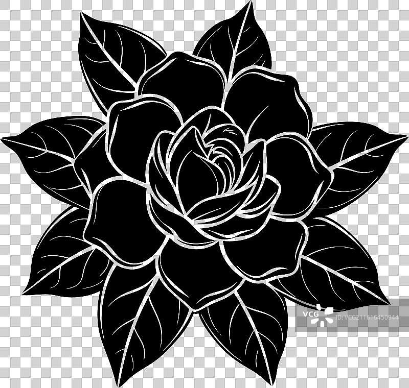 栀子花剪影图片素材