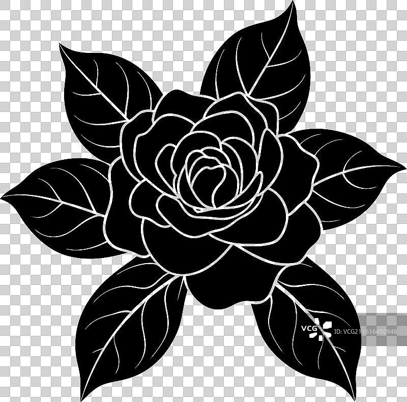 栀子花剪影1图片素材