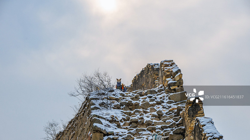 乌龙沟长城雪景图片素材