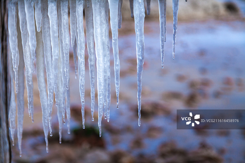 大寒节气青岛冬季海边木质栈桥码头冰锥图片素材