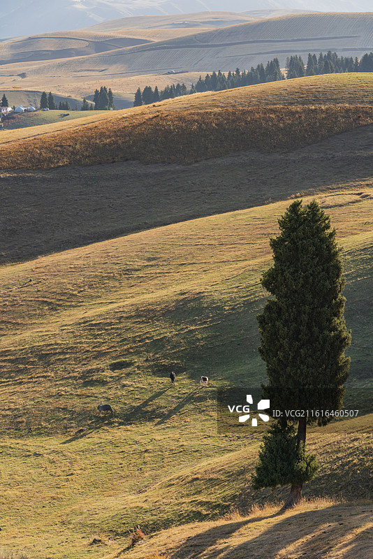 新疆昌吉江布拉克风光图片素材