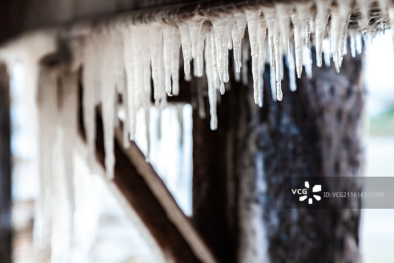 大寒节气青岛冬季海边木质栈桥码头冰锥图片素材