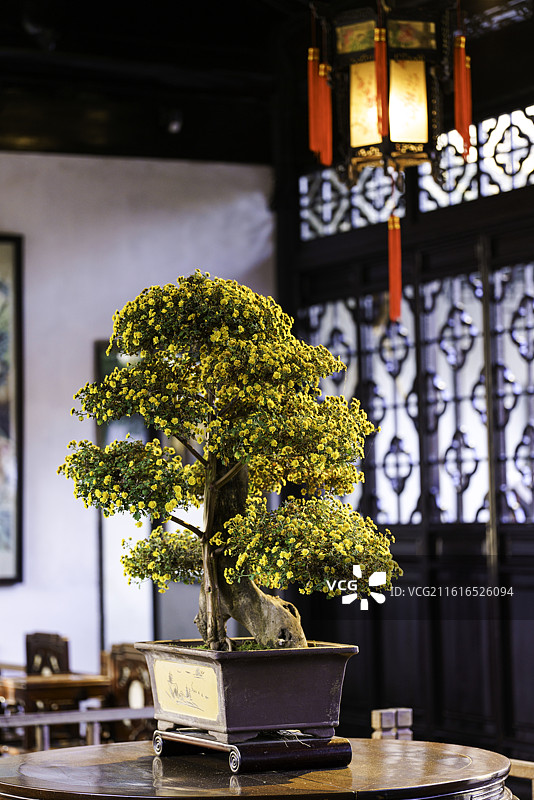 江苏苏州著名园林世界文化遗产留园内五峰山房小景图片素材