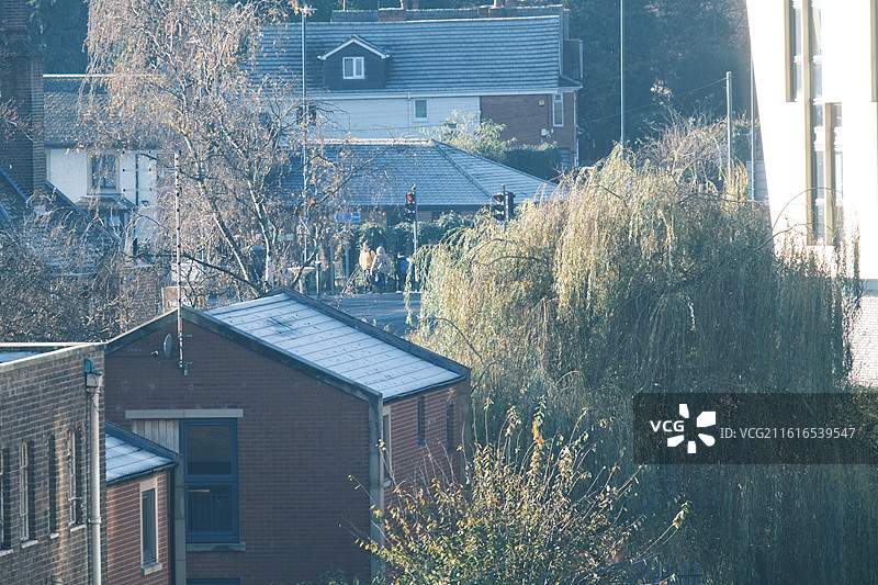 鹿园 Nottingham Wollaton Park图片素材