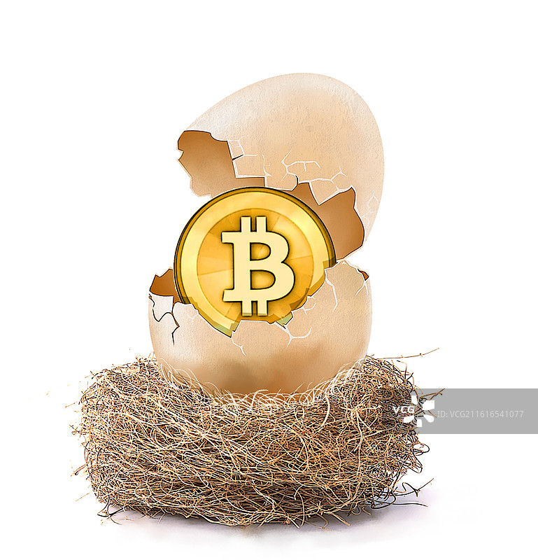 白色背景鸟巢里的蛋壳孵化出比特币金币，金融哲理插画图片素材