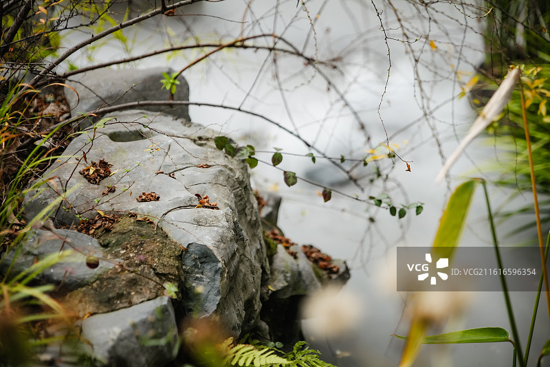 庭院小景治愈门口小院院落水盆图片素材