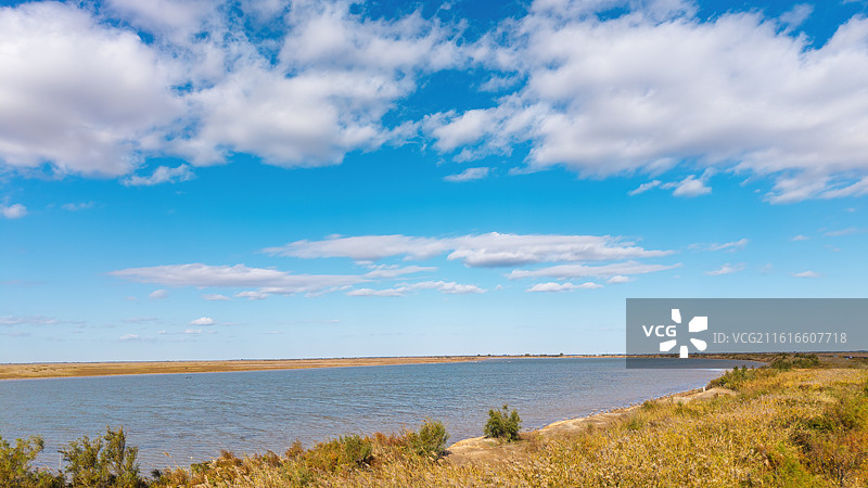 东营黄河口湿地秋冬日蓝天白云风景图片素材