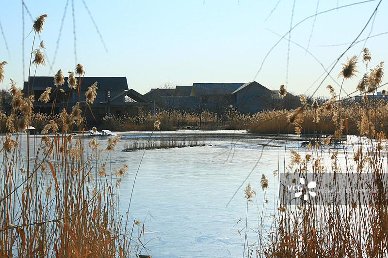 雄安新区雄县美景抓拍图片素材