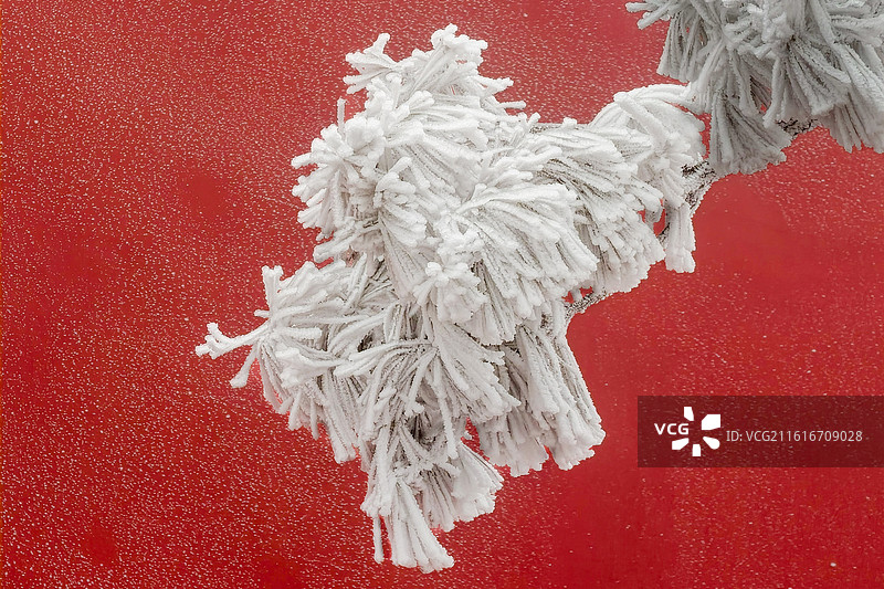 当2026年1月18日的雪漫过岱宗之巅，泰山便以银装素裹之姿，成为五岳中最雄浑的冬日画卷。图片素材