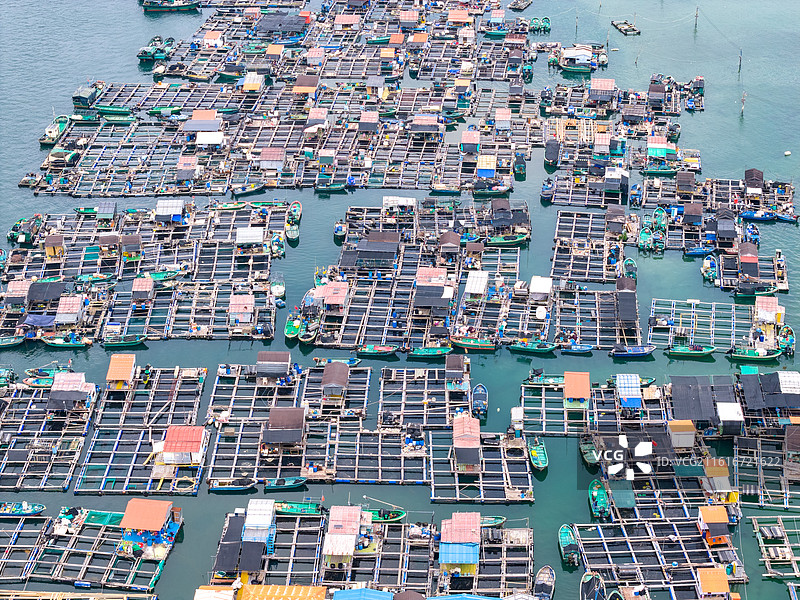 航拍俯瞰海南陵水县海上渔村海产网箱养殖，疍家渔排俯瞰图图片素材