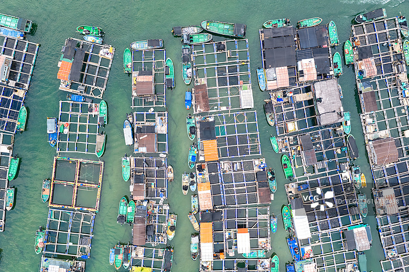 航拍俯瞰海南陵水县海上渔村海产网箱养殖，疍家渔排俯瞰图图片素材