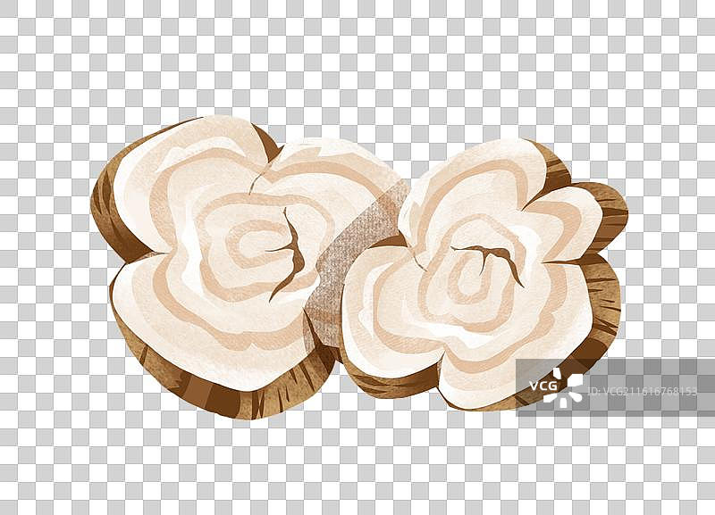 中国文化之中草药药材 葛根图片素材