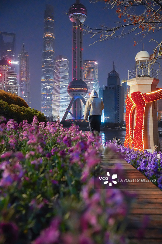 上海北外滩植物紫罗兰花海陆家嘴地标建筑图片素材