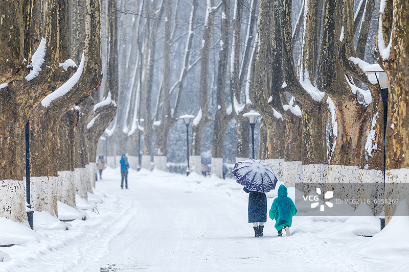 大雪中的灵谷寺路图片素材