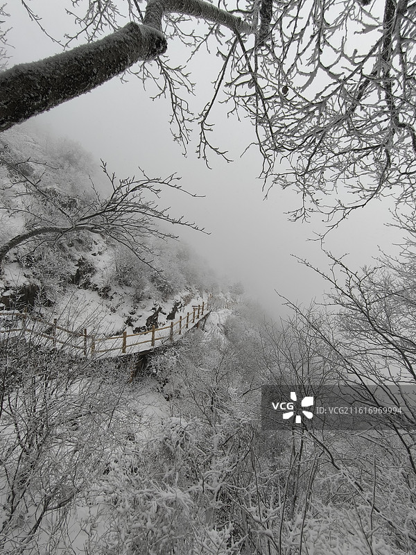 河北保定市涞源白石山雾凇下雪仙境图片素材