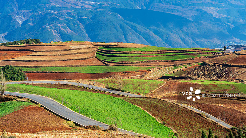 云南东川红土地图片素材