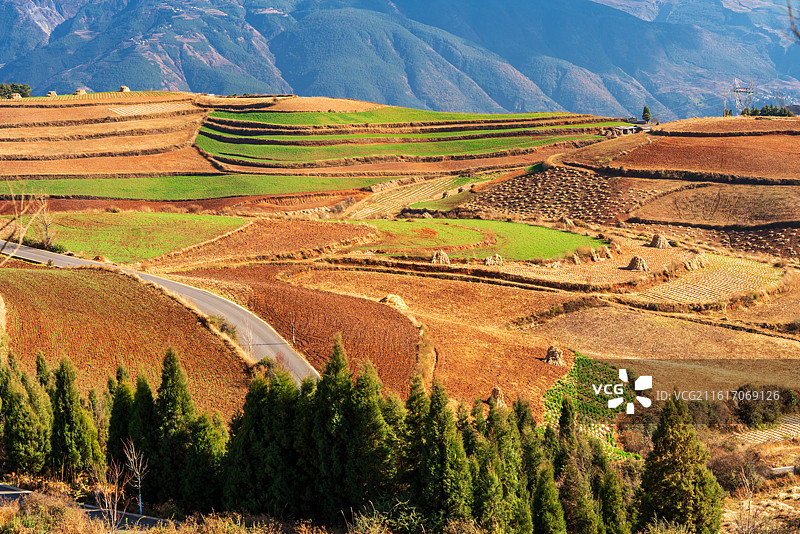 云南东川红土地图片素材