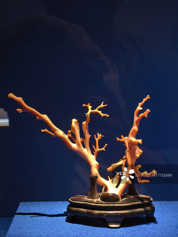 粉红珊瑚树 珊瑚，珊瑚制品，珊瑚买卖，珊瑚工艺品，宝石珊瑚，珊瑚产品，Coral图片素材