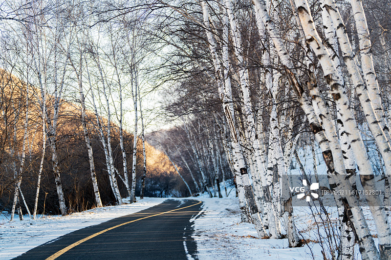 冬天雪中的路图片素材