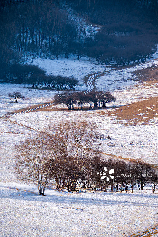 冬天雪中的路图片素材