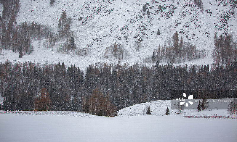 布尔津雪原图片素材