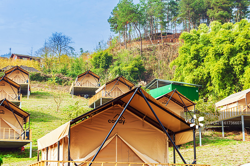 静观腊梅园A区图片素材