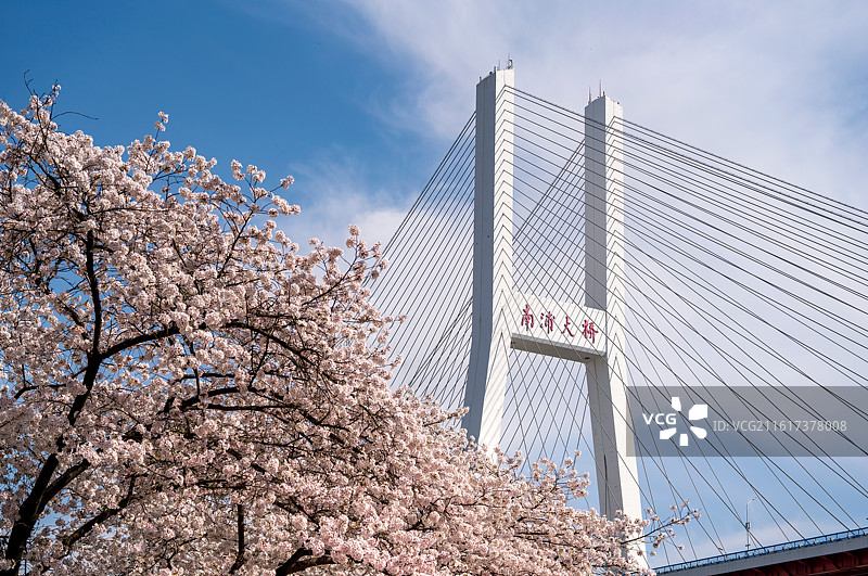 南浦之春图片素材