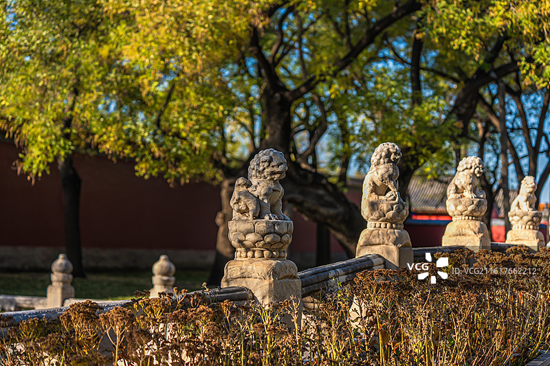 北京故宫 断虹桥 石狮子 北京秋天 中式意境图片素材