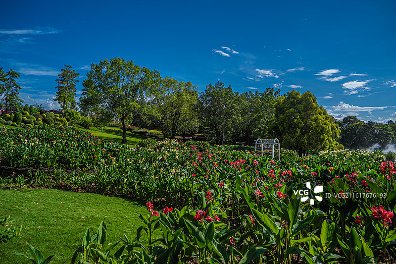 广西南宁青秀山 莫奈花园 天然氧吧 绿意盎然 旅游胜地 5A景区图片素材
