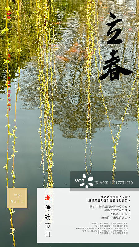 立春 节气 新春 海报 柳树 柳枝 嫩芽 绿色图片素材